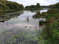 024 Kis Balaton