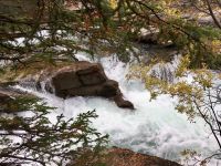 Die Athabascafaelle bei Jasper im Jasper National Park