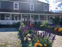 Blumenmeer beim Eingang zu der Hat Creek Ranch