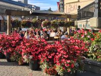 Kaffeetrinken im Bluetenmeer, Victoria BC
