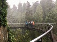 Ui, da geht es aber runter in die Capilano Schlucht !