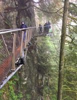 Der Felsenweg in Capilano suspension bridge park
