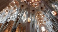 Innenarchitektur Sagrada Familia 