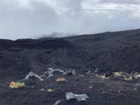 immer wieder überraschende Blicke