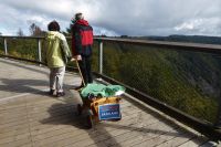 Tag 5 Baumwipfelpfad an der Saarschleife 