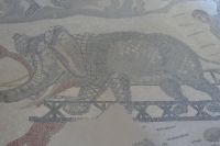 Mosaike  Villa Casale