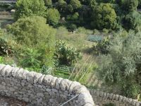  Blick in einen Garten