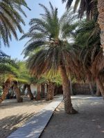 Palmenstrand Vai