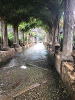 0010 Gärten von Alfabia