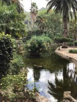 0011 Gärten von Alfabia