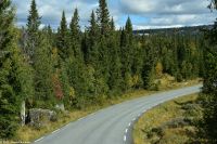 Nordische Wälder - Fahrt nach Sjusjøen - Langlauf-Gebiet um Lillehammer