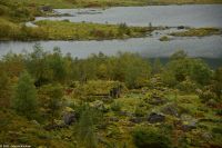 Traditionelle Fjell-Hütten im Norangsdalen