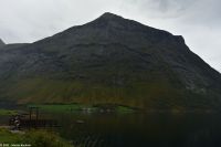 Das Norangsdalen endet im Norangsfjord - Nebenarm des Hjørundfjord