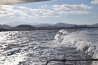 Ausflug nach Delos und Mykonos