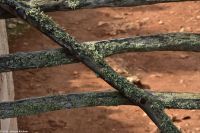 Wanderreise Menorca - Wanderung 2 - Kulturlandschaft Menorca