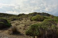 Wanderreise Menorca - Wanderung 3 - Cap de Favàritx