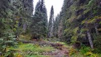 019 - Wanderweg, Nationalpark Durmitor, Montenegro