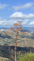 Süd-Italien - Rundreise Kalabrien - Ausblick von der Burgruine von Gerace