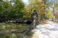 Unberüherte Natur