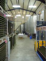 Weinkellerei 