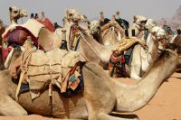 Warten auf Kundschaft!