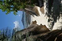 La Digue, Anse Source D´Argent