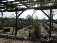 Zu Besuch im Etno-Land