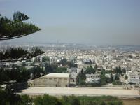 Blick auf Tunis