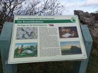 Taunus, Großer Feldberg