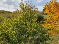 Wanderung im Itratal auf dem Aquäduktweg, Herbstzauber