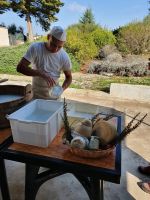 Masseria im Itratal, Vorführung der Mozzarellaherstellung