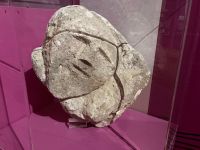 Kunst aus früheren Zeiten