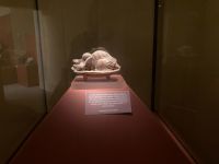 ein Star der Archäologie - die schlafende Frau