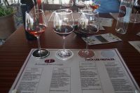 Cata de Vino - Weinprobe - Finca los Frutales de Joaquín Fernández