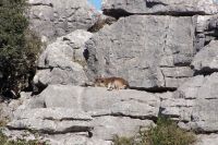 Dösen in der andalusischen Oktobersonne