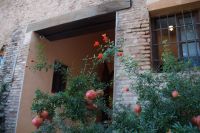 Granatapfelstrauch in der Alhambra mit Blüten und Früchten