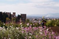 Blumenpracht in den Gärten des Generalife