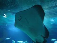 der schaut aber nett :-)