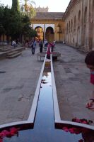 Kunstinstallation mit frischen Nelken im Hof der Mezquita Catedral - Festival Patios de Otoño