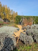 eine Fee schwebt vorüber