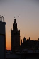 Die Giralda im Morgengrauen
