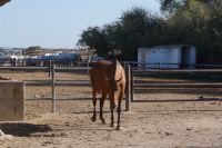 Bis vor einigen Jahren hat man auf 