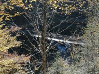 Die Hängebrücke führt über den Breitachbach