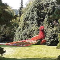 Insel Mainau