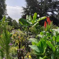 Insel Mainau