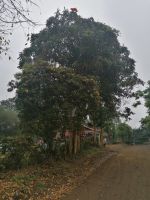IMG 20211019 104110