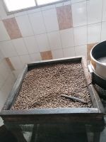 IMG 20211019 135013