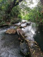 IMG 20211019 171614