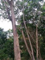 IMG 20211019 175817