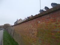 DSCN5404.JPG  Stadtmauer Cammin